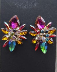 Aros Aster
